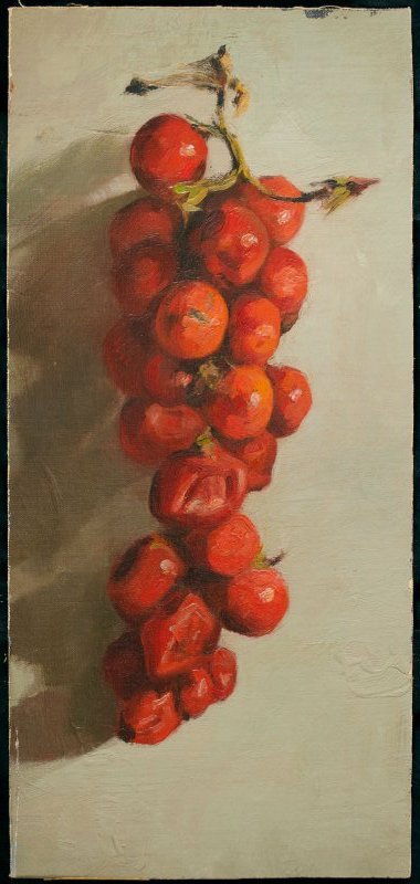 1928 ca. - Grappolo di pomodori